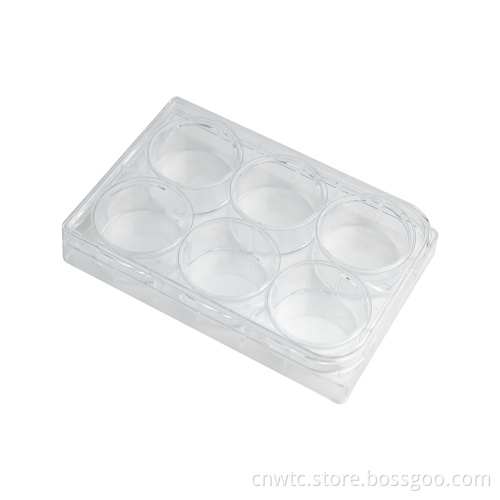 Plastic Tissue Culture: 96-Well Cell Culture Plate Search Engine